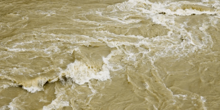 Defesa Civil de Alagoas monitora rios e alerta para risco de alagamentos na região Norte do estado