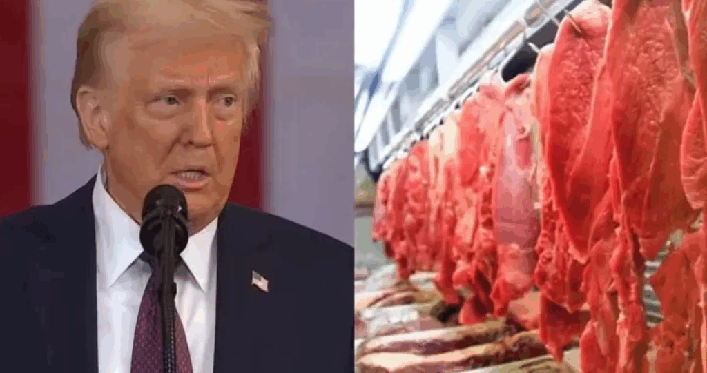 Duro golpe para o agro: entenda em 5 pontos o impacto das tarifas