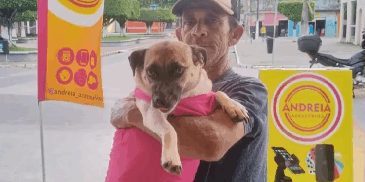 Em Capela, “Guirra dos Cachorros” luta sozinho para cuidar de 70 animais