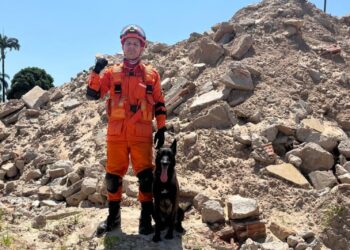 Conheça Hope, cadela que localizou ossada humana enterrada a aproximadamente 3 metros