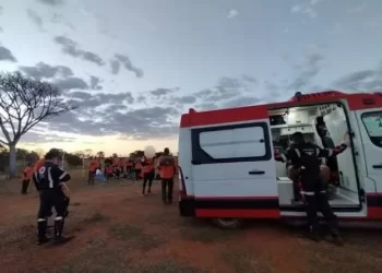 Abelhas atacam grupo de Legendários em retiro e 10 são hospitalizados