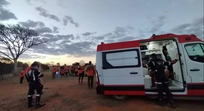 Abelhas atacam grupo de Legendários em retiro e 10 são hospitalizados