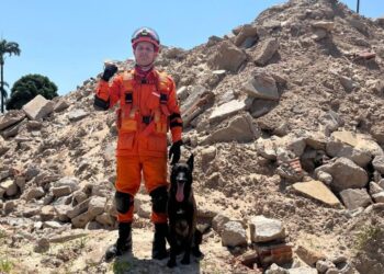 Cadela do Corpo de Bombeiros conquista duas certificações nacionais de busca