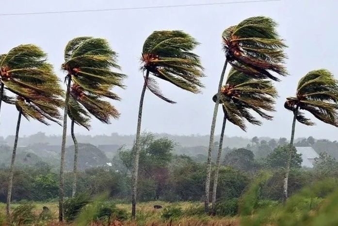 Inmet emite alerta de vendaval para quatro cidades do Sertão de Alagoas; veja quais