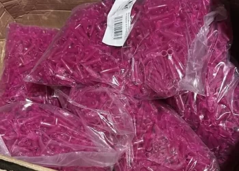 Alagoas: PF desarticula envio de drogas pelo correio e prende três envolvidos