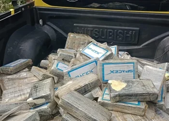 O que já se sabe sobre o avião que caiu em Coruripe: origem da Zâmbia, piloto australiano e destino incerto