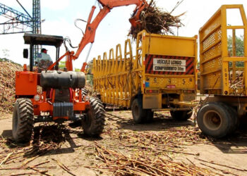 Usina Santo Antônio inicia safra 25/26 com previsão de crescimento