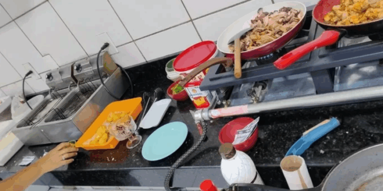 Baratas e mofo: mais um restaurante de sushi é interditado em Maceió