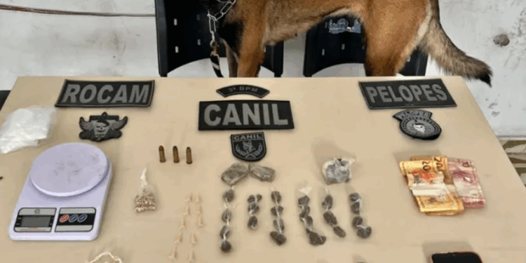 Com auxílio de cão farejador, PM prende homem em ponto de drogas em Arapiraca