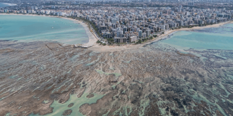 Levantamento revela que Maceió foi líder de vendas no 1º semestre e nas férias de julho