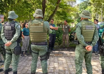Operação flagra desmatamento em área equivalente a três campos e meio de futebol em Maceió