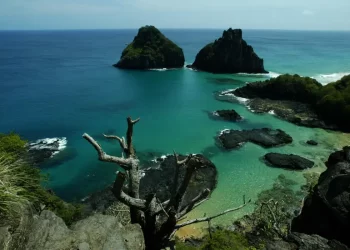 Quase 50% dos turistas usam redes como fonte de informação de viagem