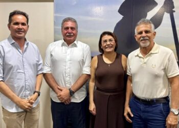 Prefeita de Caneiros discute expansão dos microssistemas de água na Semarh