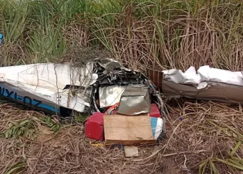 PF encontra mais tabletes de cocaína em avião que caiu em Coruripe