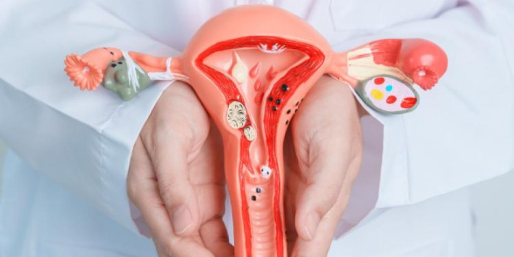 Setembro em Flor reforça a importância do cuidado com a saúde da mulher