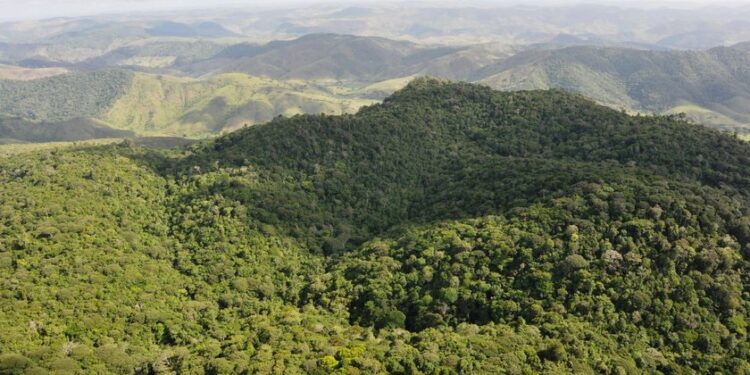 Saiba qual é a maior área de proteção ambiental terrestre de Alagoas