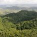 Saiba qual é a maior área de proteção ambiental terrestre de Alagoas
