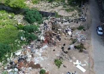 Terrenos abandonados representam quase metade das denúncias registradas na capital