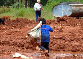 IBGE: atividades de trabalho infantil aumentam, mas trabalhos perigosos diminuem