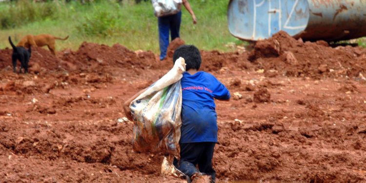 IBGE: atividades de trabalho infantil aumentam, mas trabalhos perigosos diminuem