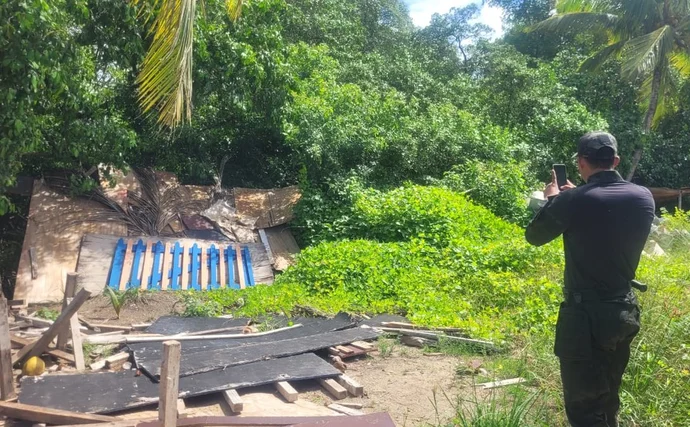 Obra em Porto de Pedras é multada por descarte irregular após morte de peixes-boi