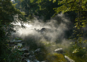 Rio na Amazônia ultrapassa 90ºC e mata animais por “cozimento”