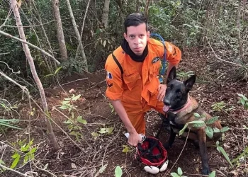 Corpo encontrado em cova rasa, com a ajuda de cão de salvamento, é de uma mulher, informa Polícia Científica
