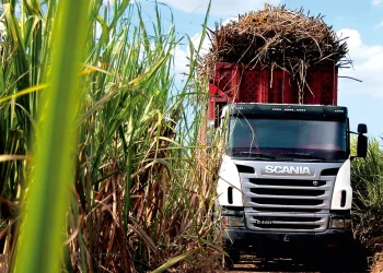 Setor agro em alta: AL registra mais de R$ 4 bilhões em valor de produção
