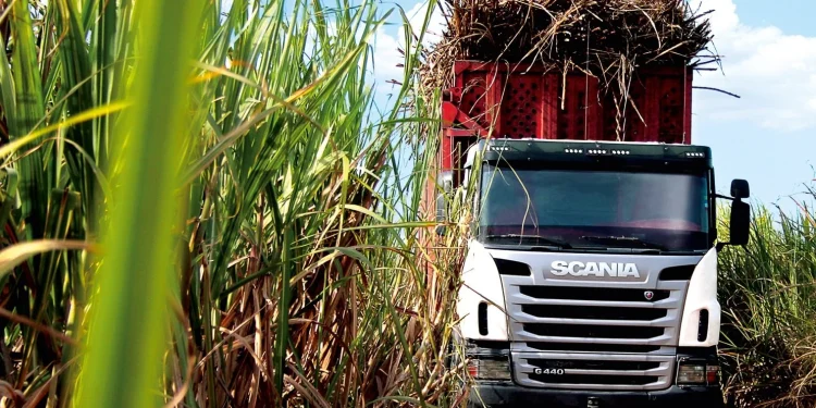 Setor agro em alta: AL registra mais de R$ 4 bilhões em valor de produção