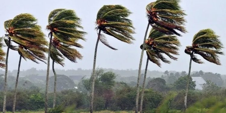 Inmet emite alerta de “perigo potencial” por vendaval em Alagoas; confira lista de cidades