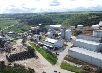Pindorama revoluciona agronegócio alagoano através do incentivo ao cultivo de sorgo