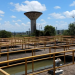 Bairros de Maceió ficam sem água após falta de energia; veja locais afetados