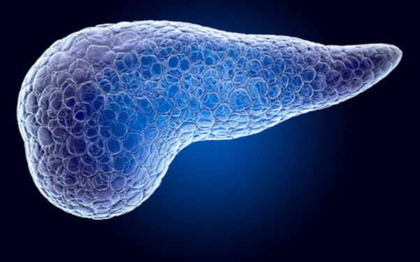 O órgão que faz você envelhecer duas vezes mais rápido (e quase ninguém cuida dele)
