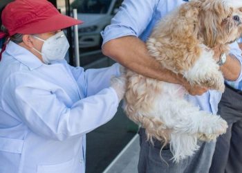 Campanha de Vacinação Antirrábica começa em Maceió no sábado (11)