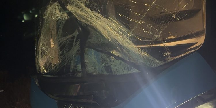 Ônibus colide com vaca na BR-423, em Canapi, e passageiros esperam resgate por três horas