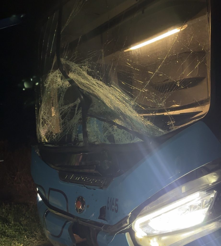 Ônibus colide com vaca na BR-423, em Canapi, e passageiros esperam resgate por três horas