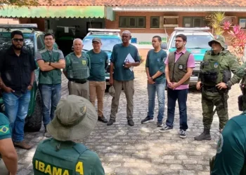 Operação em AL aplica R$ 2,5 milhões em multas por desmatamento