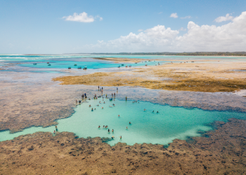 Patacho 5 Estrelas: Selo Bandeira Azul é renovado pela quinta vez