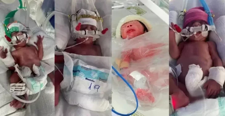 Após quatro anos tentando ter filhos, casal dá à luz quadrigêmeos no Paraná