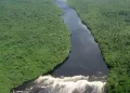 Desmatamento na Amazônia e Cerrado tem redução pelo terceiro ano consecutivo, aponta Inpe