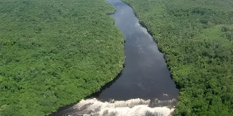 Desmatamento na Amazônia e Cerrado tem redução pelo terceiro ano consecutivo, aponta Inpe