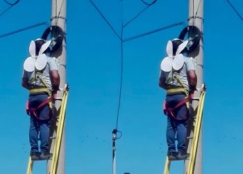 O Anjo Eletricista: Asas de papel e tecido se tornam símbolo de amor no trabalho