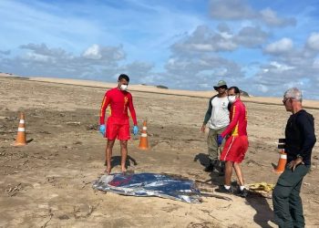 Corpo de criança desaparecida no Pontal do Peba é encontrado