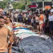 Polícia identifica 78 mortos com ficha criminal em megaoperação no RJ; maioria chefiava o CV em outros estados
