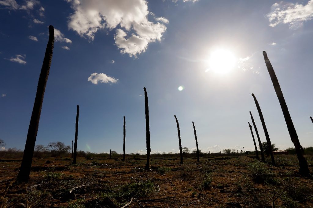 Sertão alagoano entra em alerta por baixa umidade e calor de até 37°C