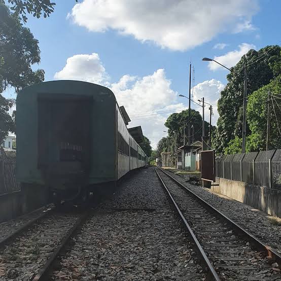Homem morre após ser atropelado por trem em Rio Largo