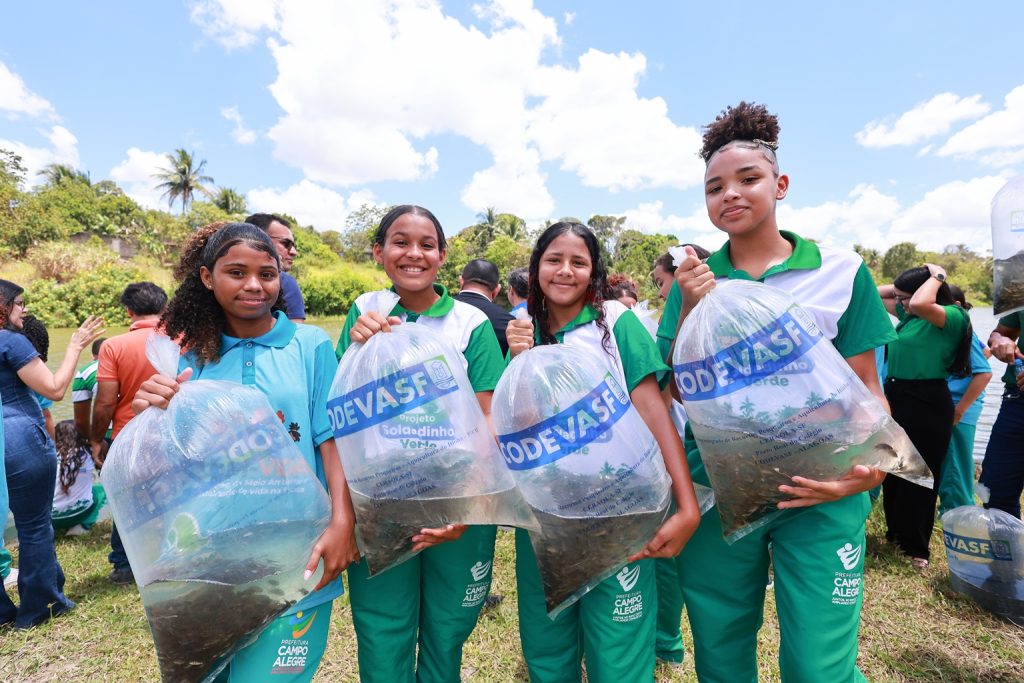 Prefeitura de Campo Alegre realizou a soltura de mais 23 mil alevinos no Açude Mandante