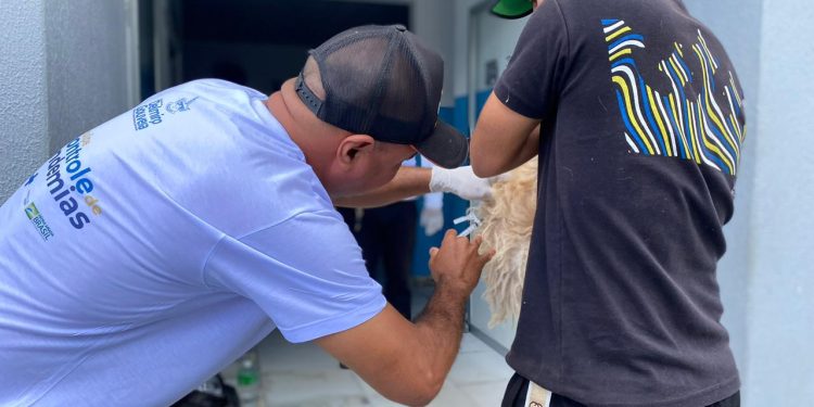 Delmiro Gouveia supera meta de vacinação antirrábica em 2025 com 90,5% do público-alvo imunizado