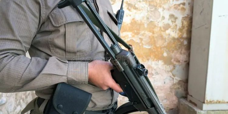 Comissão aprova uso de armas de alto calibre por seguranças privados