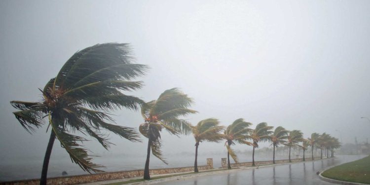 Semarh emite alerta para ventos fortes em Alagoas entre quinta e sábado